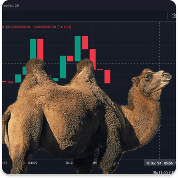 Camel chart